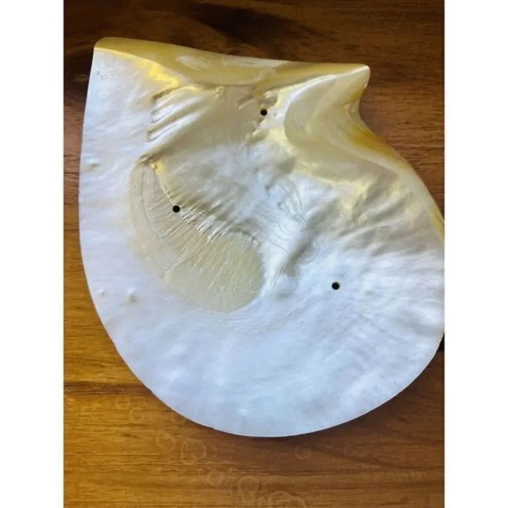 Vintage Large Genuine‎ Mother Of Pearl Sea Shell Caviar Dish Trinket Tray Plate